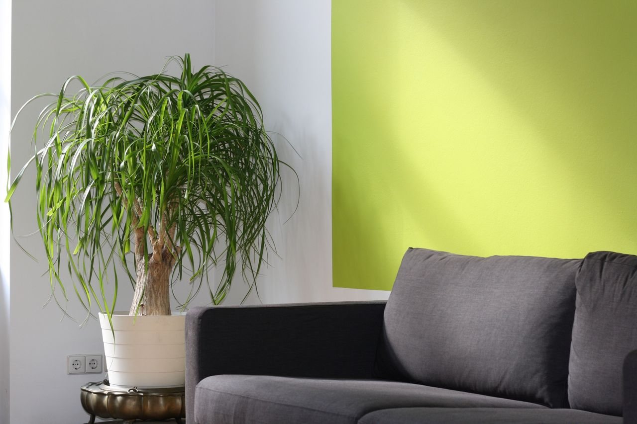 home interior